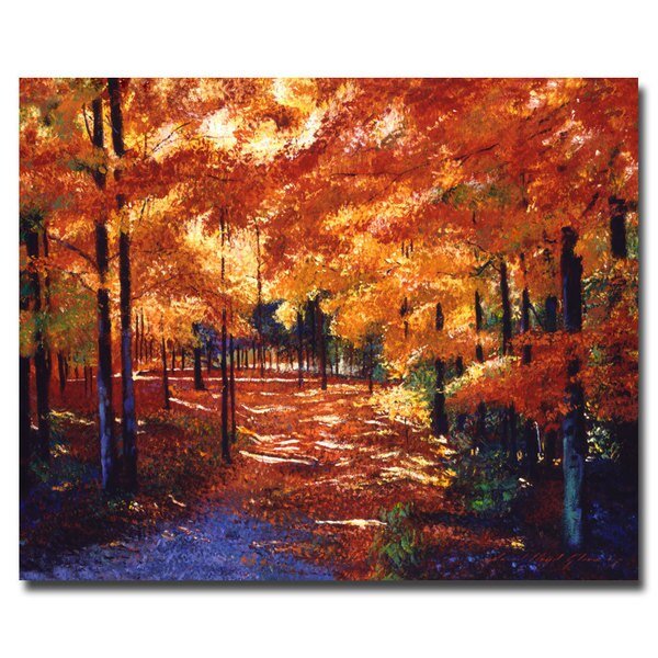David Lloyd Glover 'Magical Forest' Canvas Art, 18x24, Trademark Fine Art, Mfr#: DLG0053-C1824GG